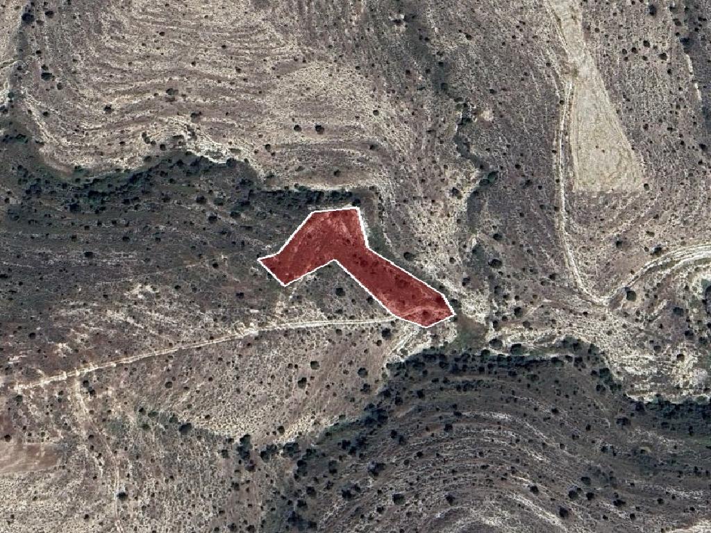 Field-Psevdas-PR39572