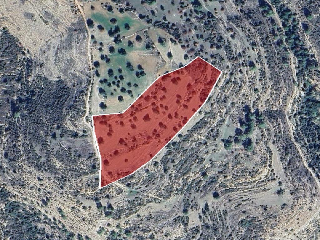 Field-Pachna-PR40219