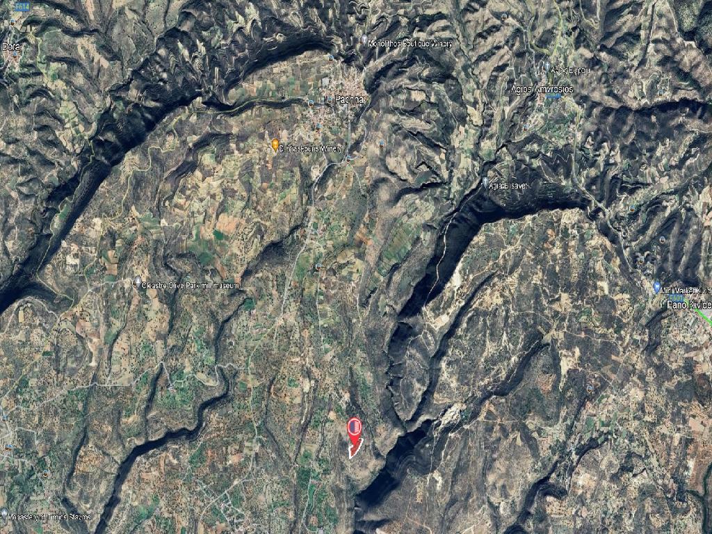 Field-Pachna-PR40219