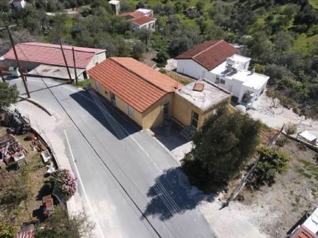 House  - Pigenia, Nicosia