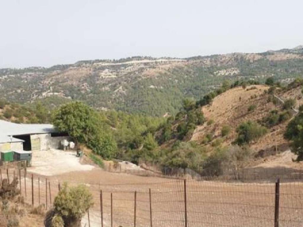 Field-Anogira-PR41103