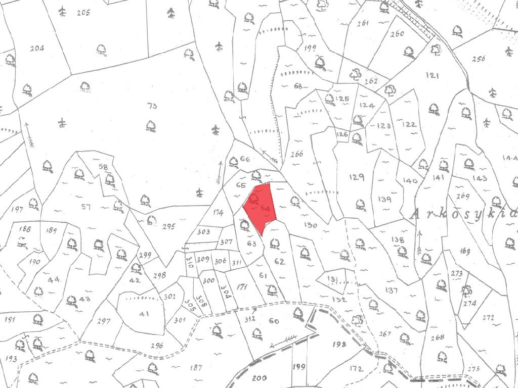 Field-Anogira-PR41103