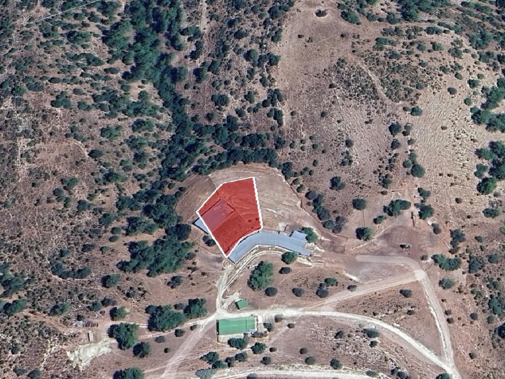 Field-Anogira-PR41103