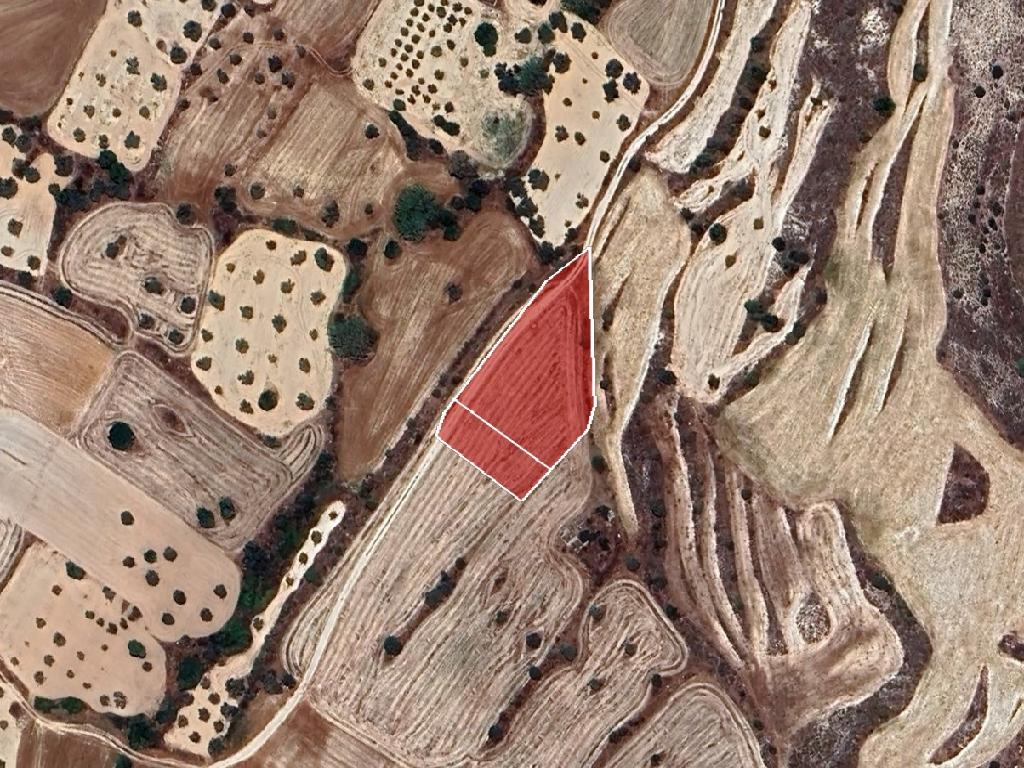 Field - Agia Varvara, Nicosia