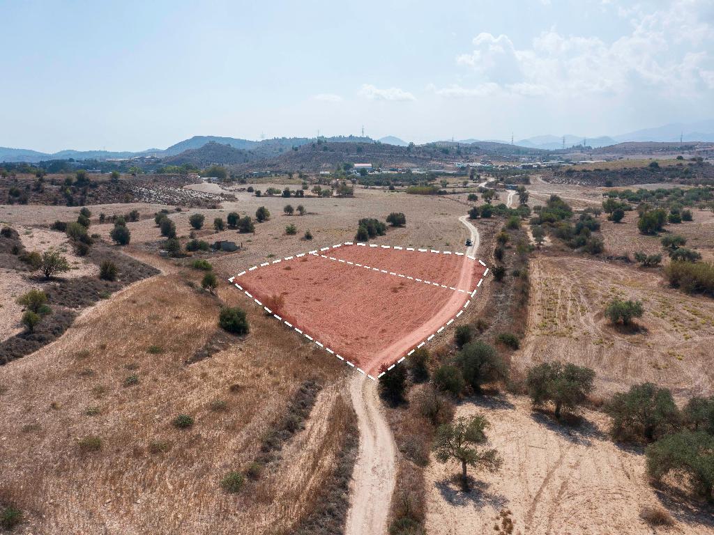 Field - Agia Varvara, Nicosia