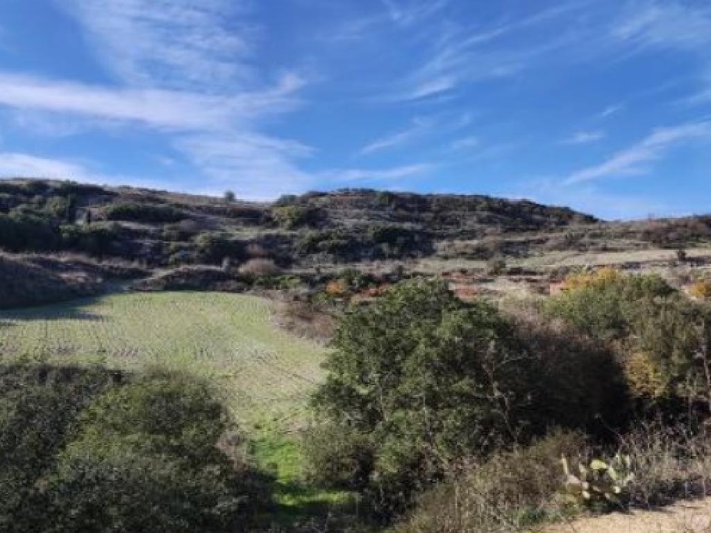 Field-Theletra-PR41724