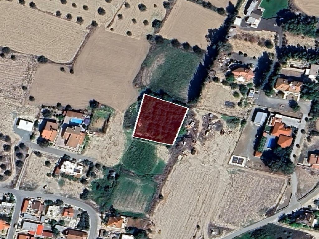 Field-Dali-PR42467