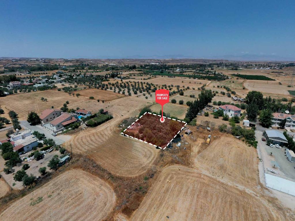 Field-Dali-PR42467