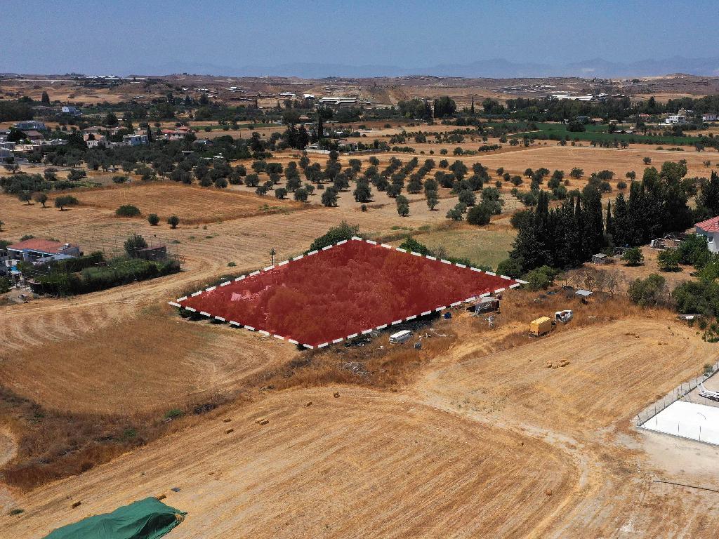 Field-Dali-PR42467