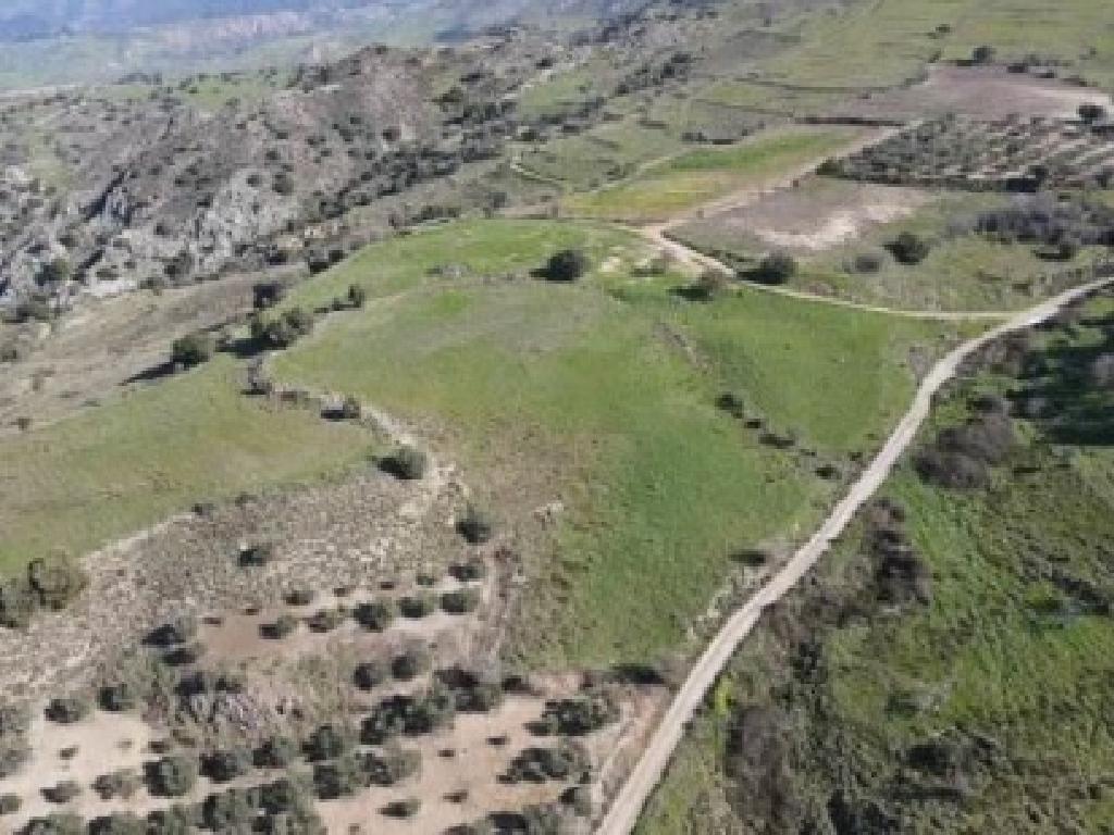 Field-Statos - Agios Fotios-PR43134