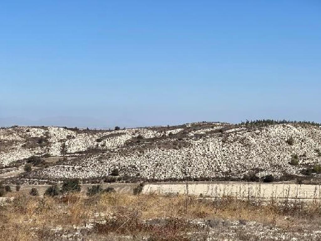 Field-Pera-PR12754