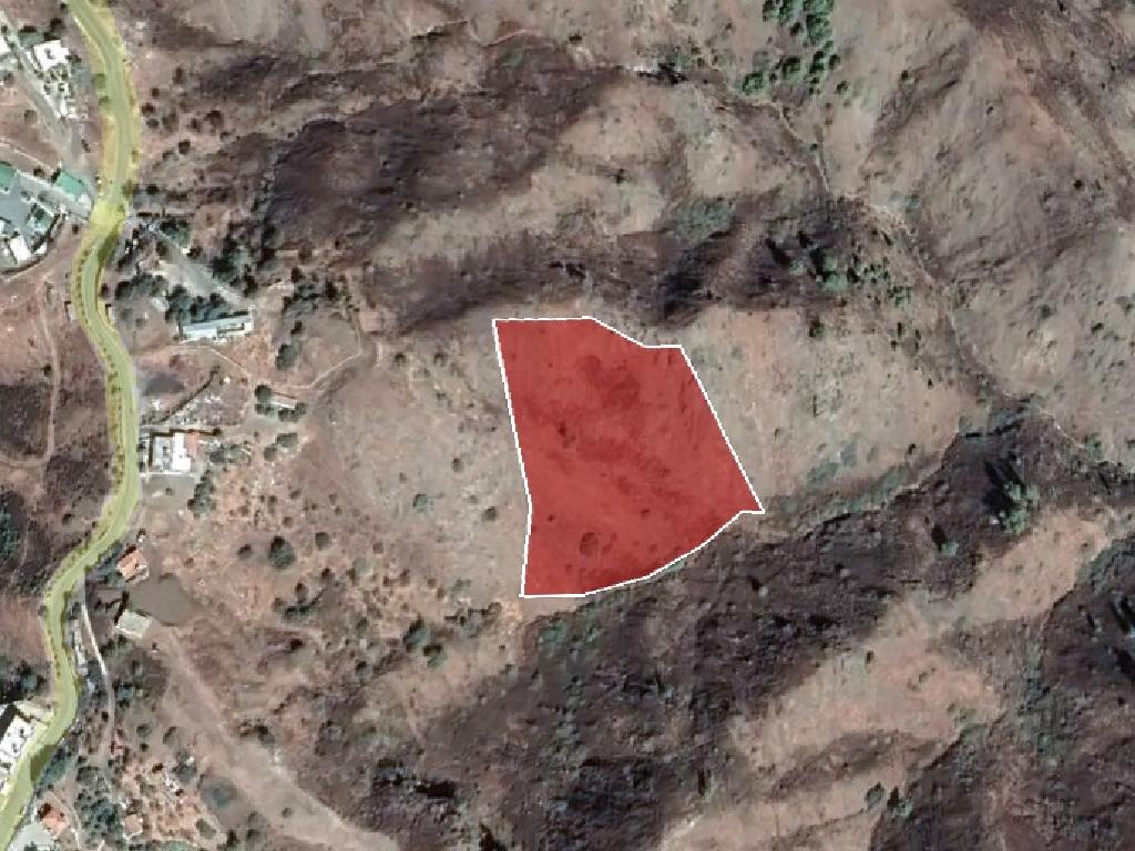 Field-Pigenia-PR12536