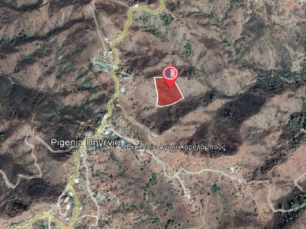 Field-Pigenia-PR12536