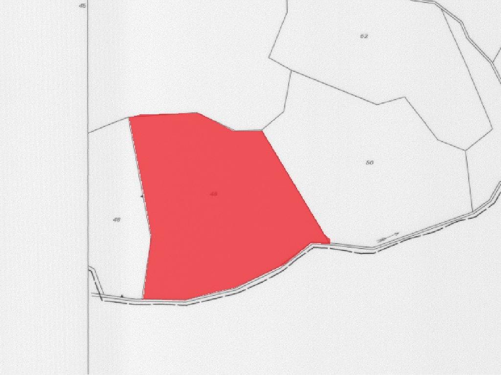 Field-Pigenia-PR12536