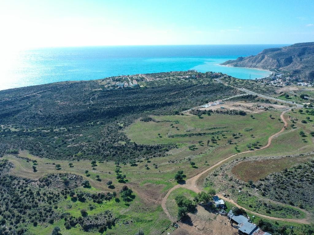 Field-Pissouri-PR14897