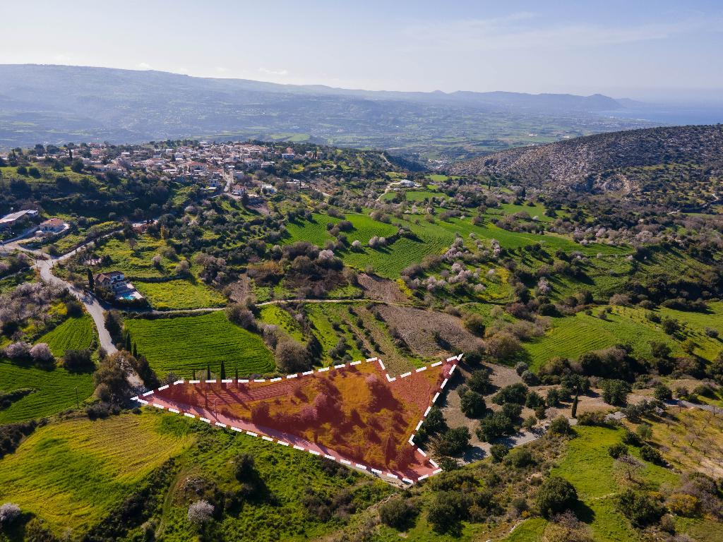 Field-Peristerona-PR33918