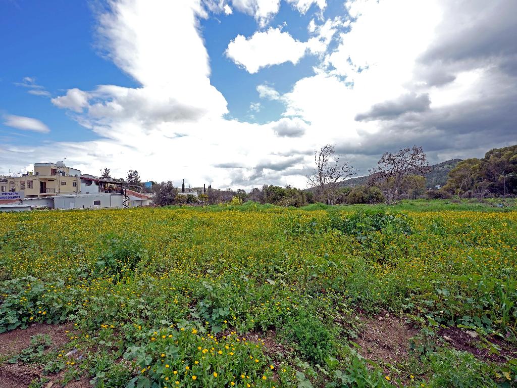 Field-Psevdas-PR33228