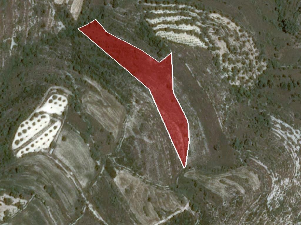 Field-Kritou Terra-PR34987