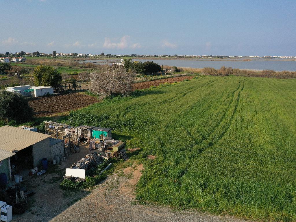 Field-Sotira-PR36017