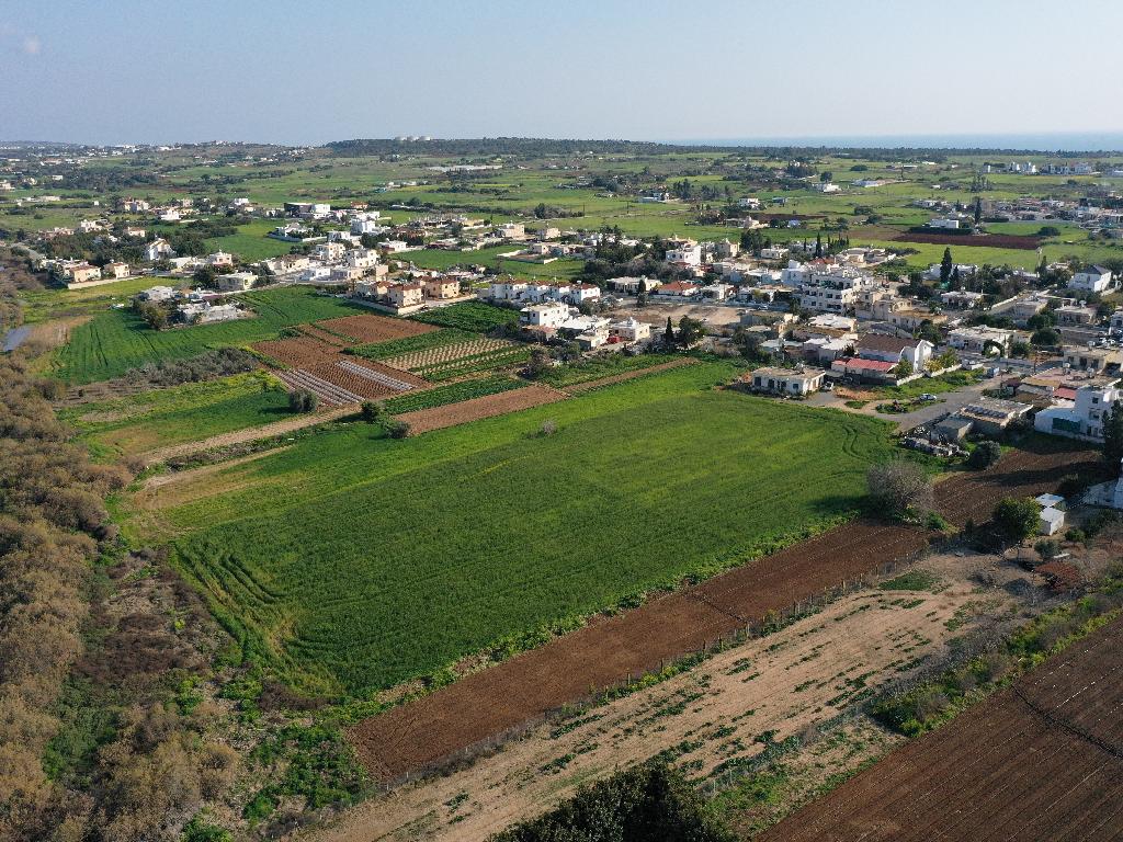Field-Sotira-PR36017