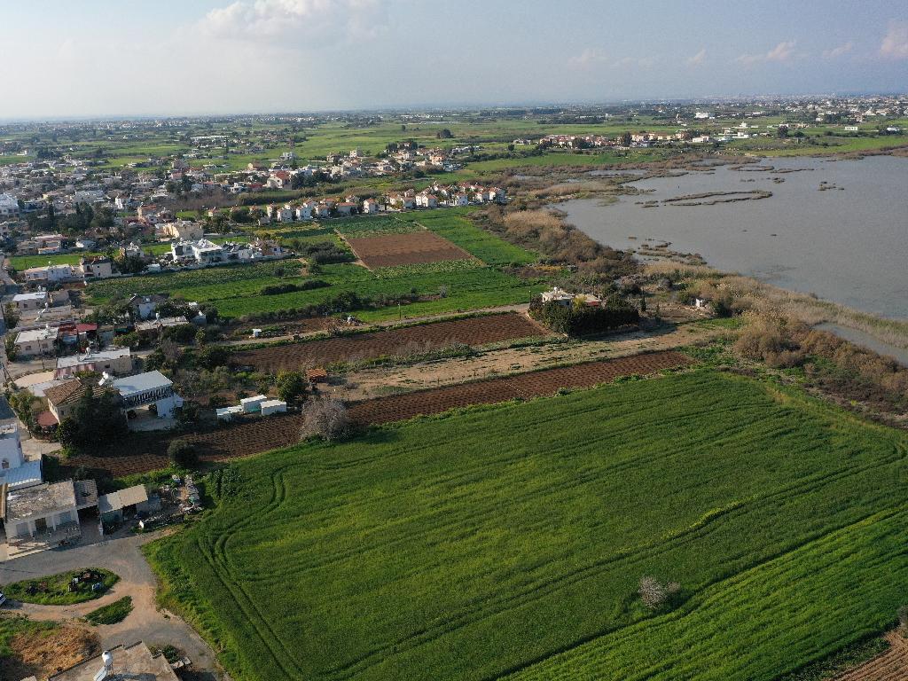 Field-Sotira-PR36017