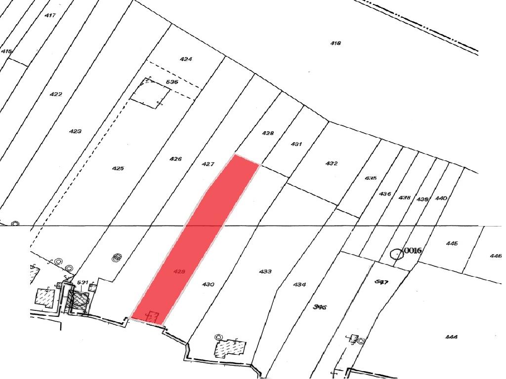 Field-Sotira-PR36017