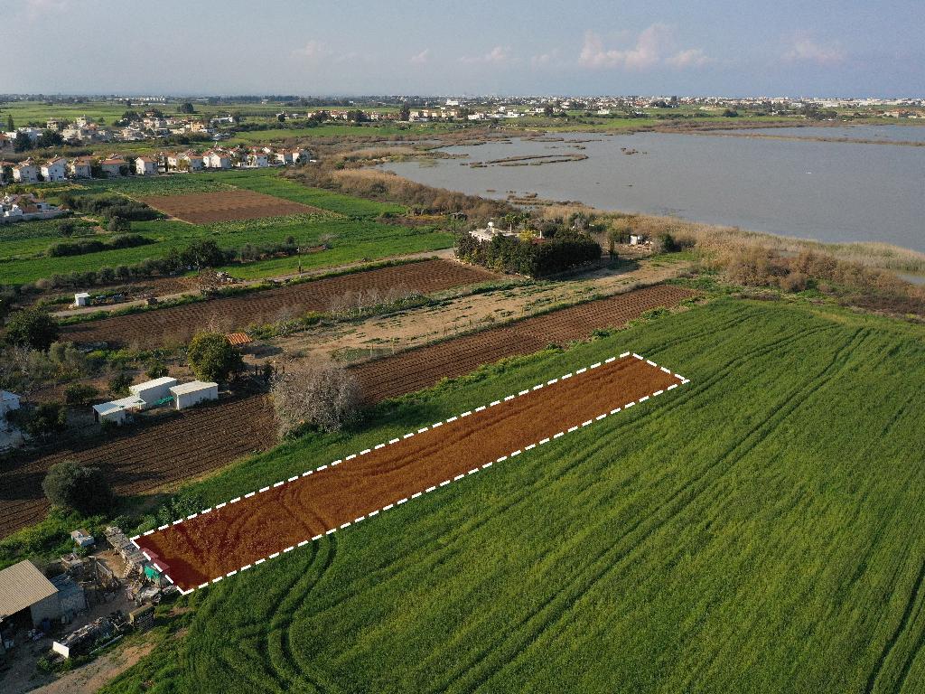 Field-Sotira-PR36017