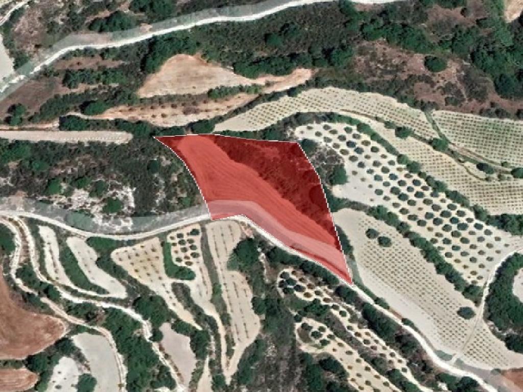 Field-Polemi-PR37138