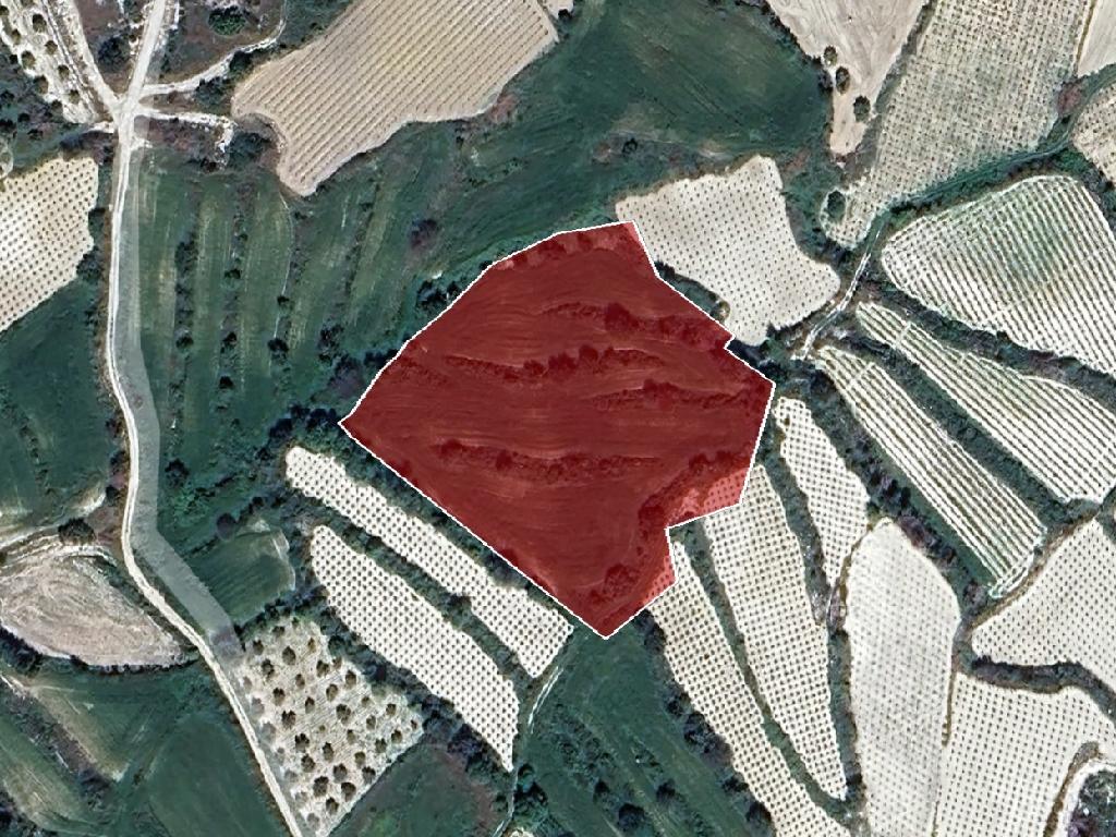 Field-Letymvou-PR38124