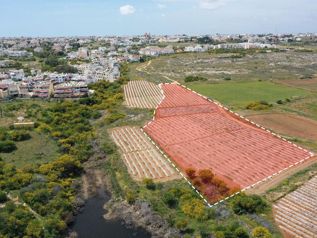 Field-Paralimni-PR37540