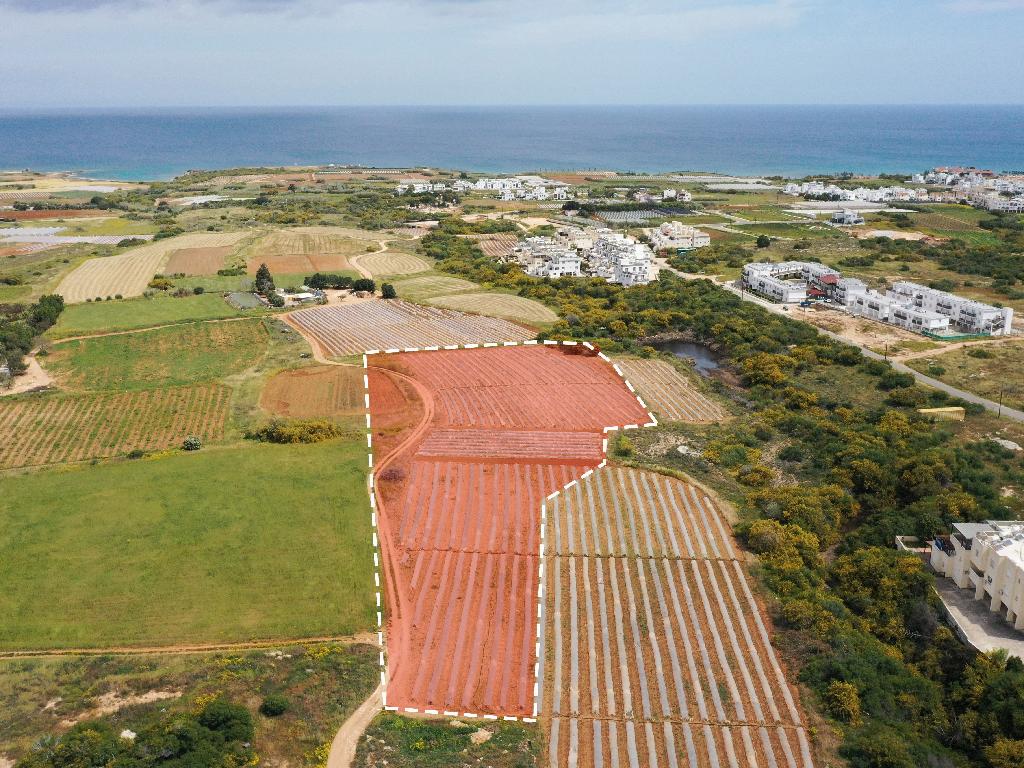 Field-Paralimni-PR37540