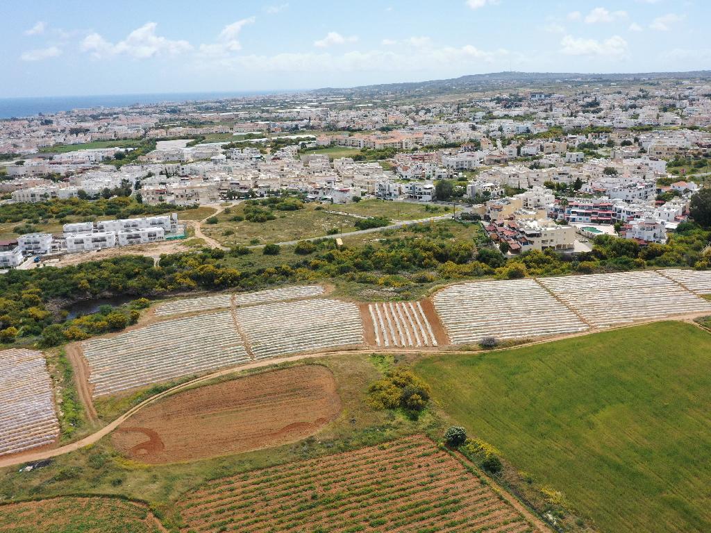Field-Paralimni-PR37540