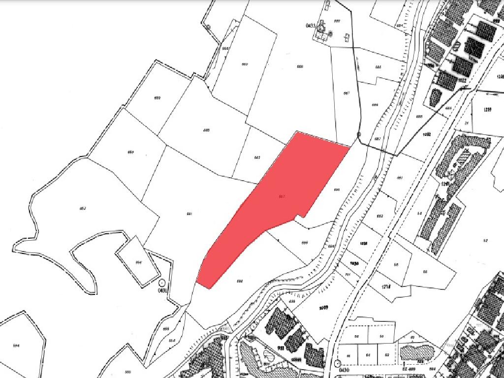Field-Paralimni-PR37540