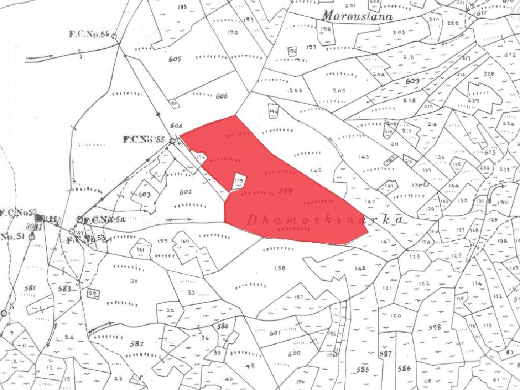 Field  (Share) - Kampos, Nicosia