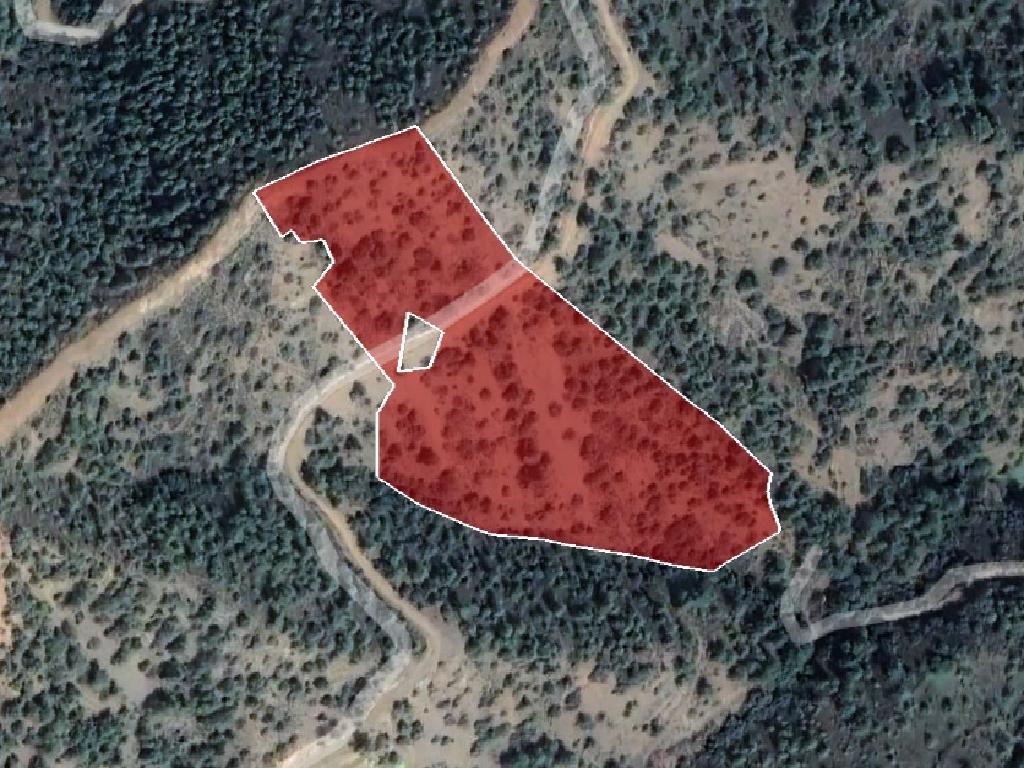 Field  (Share) - Kampos, Nicosia
