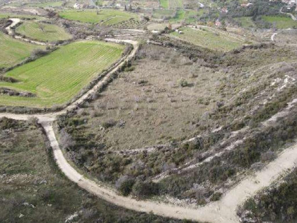 Field-Praitori-PR39759