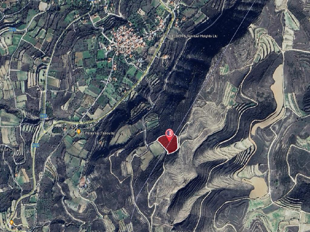 Field-Praitori-PR39759