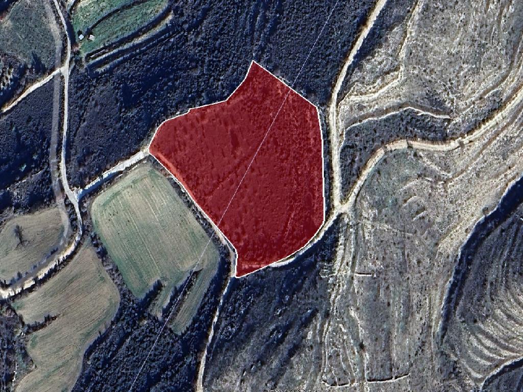 Field-Praitori-PR39759