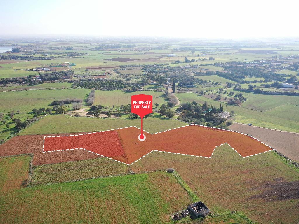 Field - Achna, Famagusta