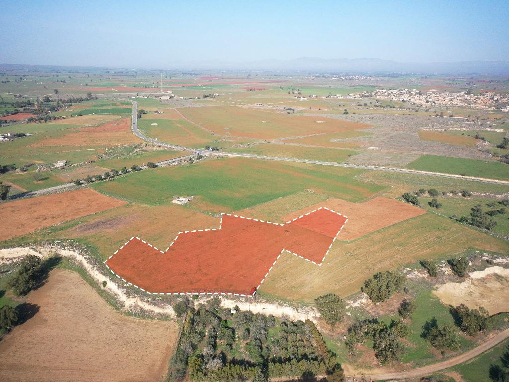 Field - Achna, Famagusta