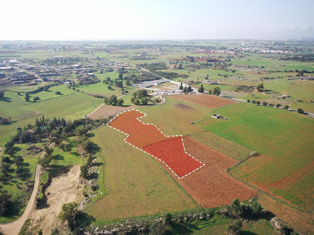 Field - Achna, Famagusta