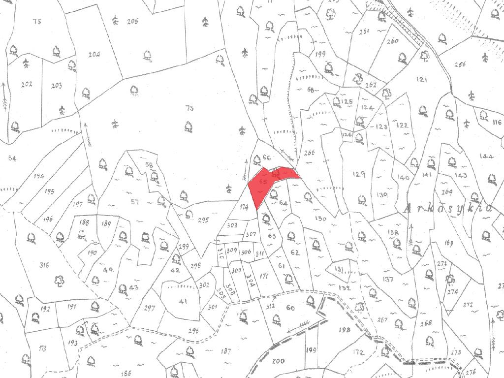 Field-Anogira-PR41104