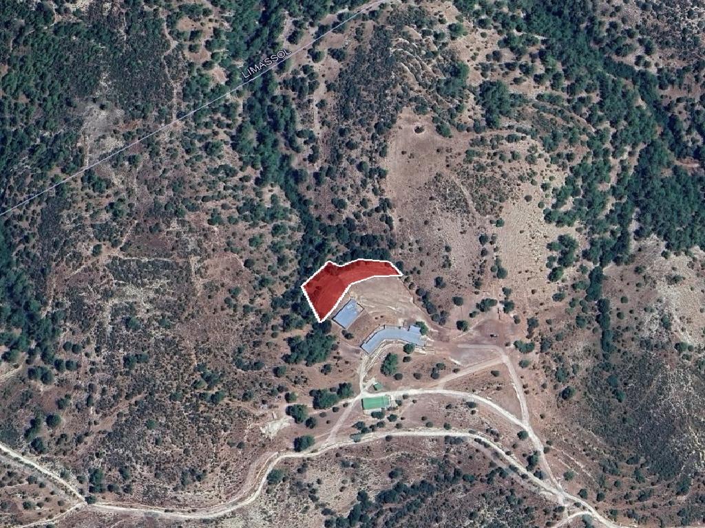 Field-Anogira-PR41104