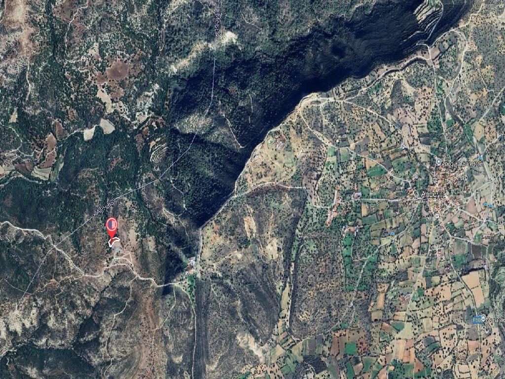 Field-Anogira-PR41104