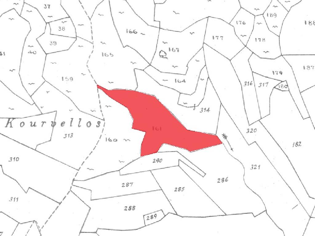 Field-Malia-PR40974