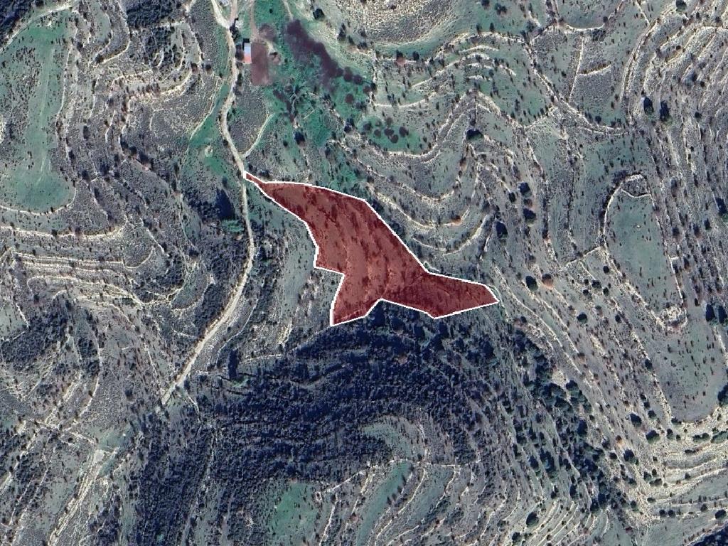 Field-Malia-PR40974