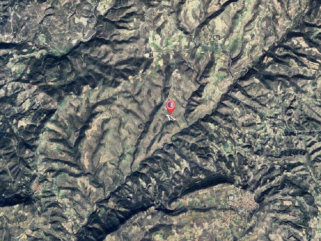 Field-Malia-PR40974