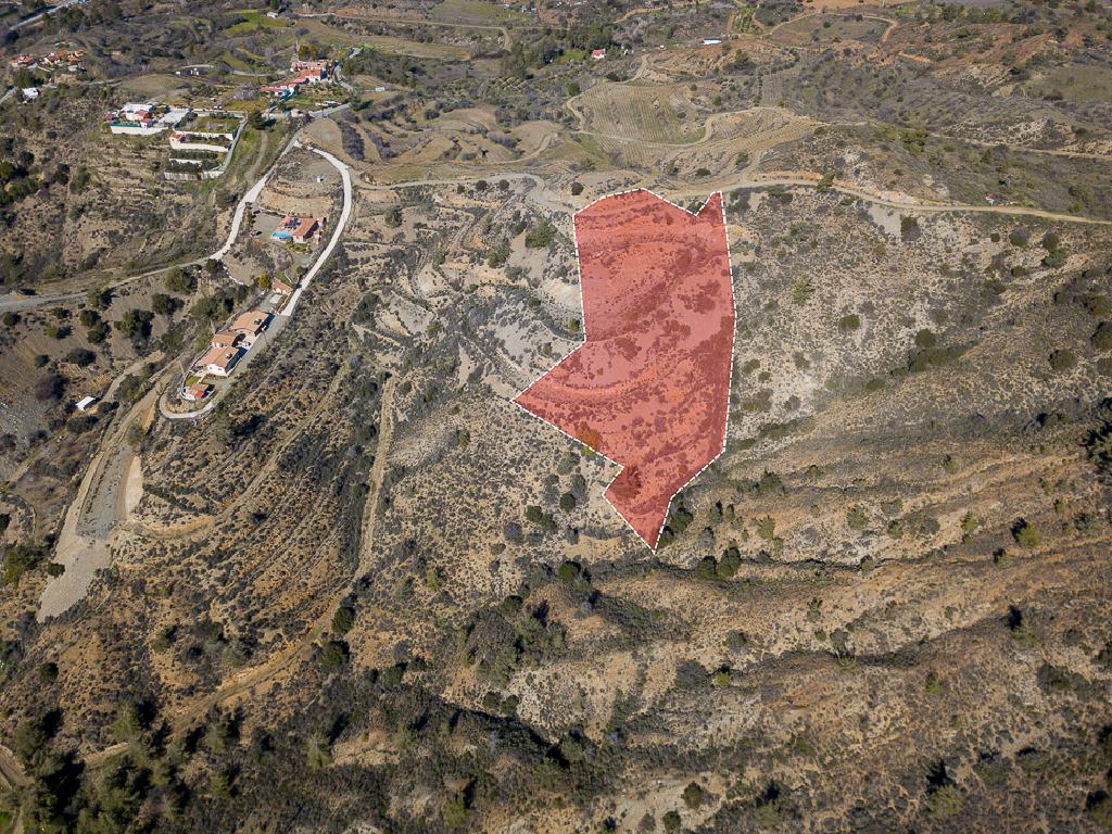 Field-Kalo Chorio-PR41545