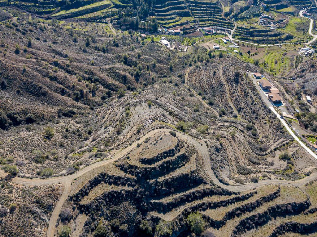 Field-Kalo Chorio-PR41545