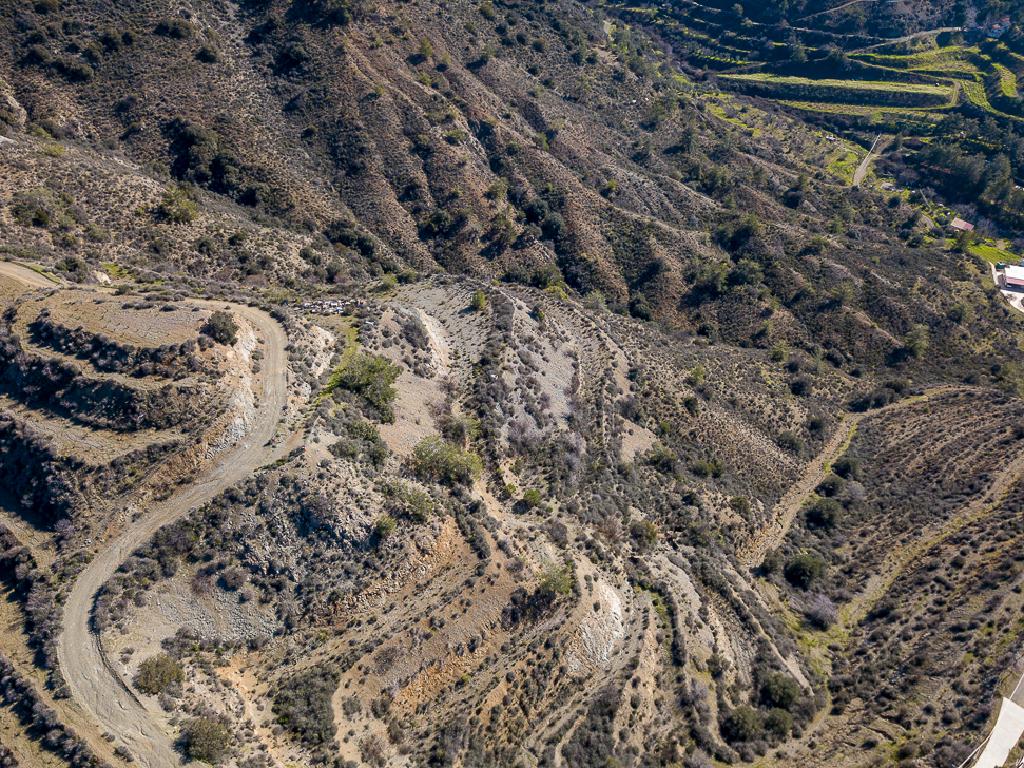 Field-Kalo Chorio-PR41545